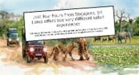 Sri Lanka's Wildlife Wonders Featured by CNA